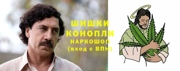 альфа пвп Гусев