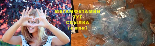 ГАЛЛЮЦИНОГЕННЫЕ ГРИБЫ Дмитриев