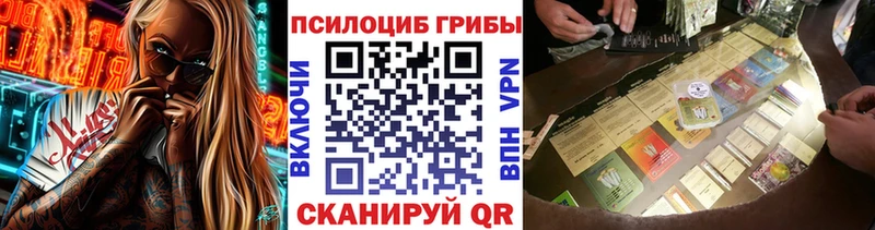 Псилоцибиновые грибы Psilocybine cubensis  Купить закладки  Качканар 