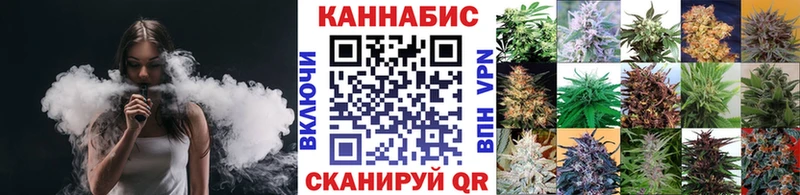 Бошки Шишки семена  Купить закладки  Качканар 